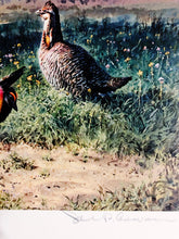 Load image into Gallery viewer, John P. Cowan 1986 Texas Non-Game Stamp Print With Stamp - Brand New Super Custom Sporting Frame