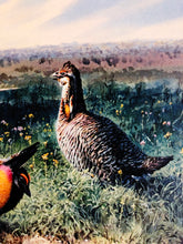 Load image into Gallery viewer, John P. Cowan 1986 Texas Non-Game Stamp Print With Stamp - Brand New Super Custom Sporting Frame
