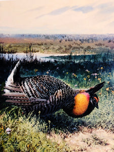 John P. Cowan 1986 Texas Non-Game Stamp Print With Stamp - Brand New Super Custom Sporting Frame