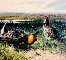 Load image into Gallery viewer, John P. Cowan 1986 Texas Non-Game Stamp Print With Stamp - Brand New Super Custom Sporting Frame