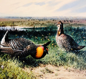 John P. Cowan 1986 Texas Non-Game Stamp Print With Stamp - Brand New Super Custom Sporting Frame