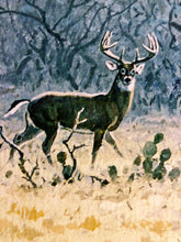 Load image into Gallery viewer, John P. Cowan Coming to Horns GiClee Full Sheet - Brand New Super Custom Sporting Frame