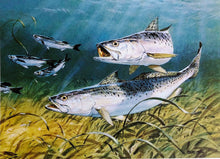 Load image into Gallery viewer, Al Barnes - 1987 Texas Saltwater Stamp Print With Stamp - Brand New Custom Sporting Frame