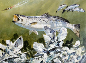 Al Barnes 2004 Coastal Conservation Association CCA Stamp Print With Stamp - Brand New Super Custom Sporting Frame