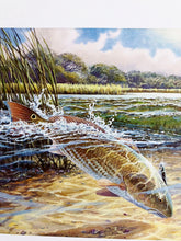 Load image into Gallery viewer, Herb Booth 2003 Coastal Conservation Association CCA Stamp Print With Stamp - Brand New Super Custom Sporting Frame