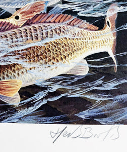 Herb Booth - 1988 Texas Saltwater Stamp Print With Double Stamps - Brand New Custom Sporting Frame