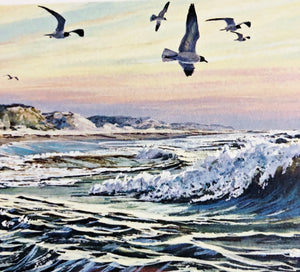 Herb Booth - 1988 Texas Saltwater Stamp Print With Double Stamps - Brand New Custom Sporting Frame