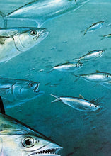 Load image into Gallery viewer, Diane Rome Peebles 1995 Coastal Conservation Association CCA Stamp Print With Stamp - Brand New Super Custom Sporting Frame