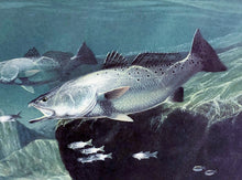 Load image into Gallery viewer, John Dearman 1996 Coastal Conservation CCA Stamp Print With Double Stamps - Brand New Super Custom Sporting Frame