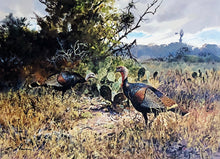 Load image into Gallery viewer, John P. Cowan 1988 Texas Wild Turkey Stamp Print With Double Stamps - Brand New Super Custom Sporting Frame