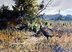 John P. Cowan 1988 Texas Wild Turkey Stamp Print With Double Stamps - Brand New Super Custom Sporting Frame