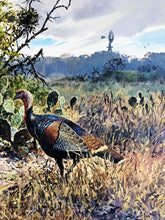 Load image into Gallery viewer, John P. Cowan 1988 Texas Wild Turkey Stamp Print With Double Stamps - Brand New Super Custom Sporting Frame