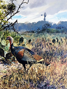 John P. Cowan 1988 Texas Wild Turkey Stamp Print With Double Stamps - Brand New Super Custom Sporting Frame