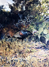 Load image into Gallery viewer, John P. Cowan 1988 Texas Wild Turkey Stamp Print With Double Stamps - Brand New Super Custom Sporting Frame