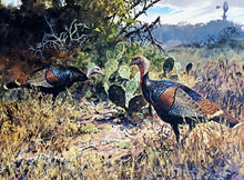 Load image into Gallery viewer, John P. Cowan 1988 Texas Wild Turkey Stamp Print With Double Stamps - Brand New Super Custom Sporting Frame