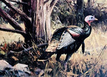 Load image into Gallery viewer, Ken Carlson - 1992 Texas Turkey Stamp Print With Double Stamps - Brand New Custom Sporting Frame