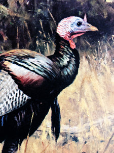 Ken Carlson - 1992 Texas Turkey Stamp Print With Double Stamps - Brand New Custom Sporting Frame