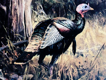 Load image into Gallery viewer, Ken Carlson - 1992 Texas Turkey Stamp Print With Double Stamps - Brand New Custom Sporting Frame