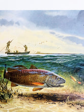 Load image into Gallery viewer, John P. Cowan 1986 Texas Saltwater Stamp Print With Stamp - Brand New Super Custom Sporting Frame