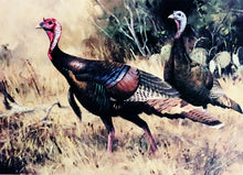 Load image into Gallery viewer, Ken Carlson 1984 Texas Turkey Stamp Print With Double Stamps - First Of Series - Brand New Super Custom Sporting Frame