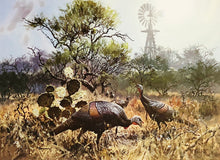 Load image into Gallery viewer, John P. Cowan 1985 Texas Wild Turkey Stamp Print With Stamp - Brand New Super Custom Sporting Frame