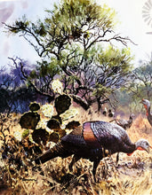 Load image into Gallery viewer, John P. Cowan 1985 Texas Wild Turkey Stamp Print With Stamp - Brand New Super Custom Sporting Frame