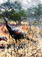 Load image into Gallery viewer, John P. Cowan 1985 Texas Wild Turkey Stamp Print With Stamp - Brand New Super Custom Sporting Frame