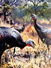 Load image into Gallery viewer, John P. Cowan 1985 Texas Wild Turkey Stamp Print With Stamp - Brand New Super Custom Sporting Frame