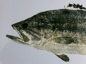 John Morrow Black Bass Gyotaku GiClee - Brand New Super Custom Sporting Frame