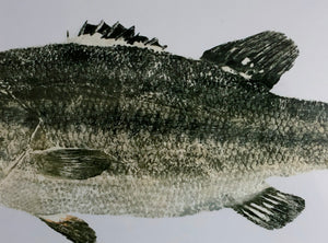 John Morrow Black Bass Gyotaku GiClee - Brand New Super Custom Sporting Frame