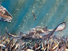 Load image into Gallery viewer, Chance Yarbrough - B&amp;R Double - GiClee Redfish and Stingray - Brand New Custom Sporting Frame