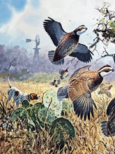 Load image into Gallery viewer, John P. Cowan 1991 Texas Quail Stamp Print With Stamp - Brand New Super Custom Sporting Frame