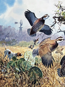 John P. Cowan 1991 Texas Quail Stamp Print With Stamp - Brand New Super Custom Sporting Frame