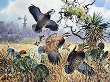 Load image into Gallery viewer, John P. Cowan 1991 Texas Quail Stamp Print With Stamp - Brand New Super Custom Sporting Frame