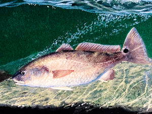 John Dearman - Redfish 2009 - FS GiClee - Brand New Custom Sporting Frame