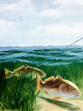 Load image into Gallery viewer, John Dearman - Laguna Reds Coastal Conservation Association CCA AP - Brand New Custom Sporting Frame