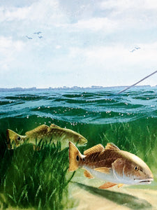 John Dearman - Laguna Reds Coastal Conservation Association CCA AP - Brand New Custom Sporting Frame