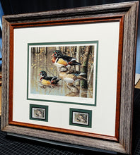 Load image into Gallery viewer, James Hautman 1999 Arkansas Waterfowl Duck Stamp Print With Double Stamps - 7 Devils Wood Ducks - Brand New Super Custom Sporting Frame