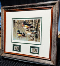 Load image into Gallery viewer, James Hautman - 1999 Arkansas Waterfowl Duck Stamp Print With Double Stamps - 7 Devils Wood Ducks - Brand New Custom Sporting Frame