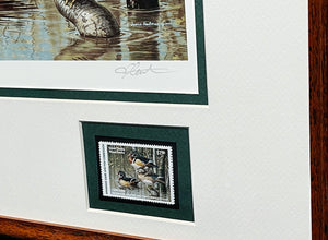 James Hautman - 1999 Arkansas Waterfowl Duck Stamp Print With Double Stamps - 7 Devils Wood Ducks - Brand New Custom Sporting Frame