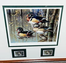Load image into Gallery viewer, James Hautman 1999 Arkansas Waterfowl Duck Stamp Print With Double Stamps - 7 Devils Wood Ducks - Brand New Super Custom Sporting Frame