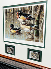 Load image into Gallery viewer, James Hautman 1999 Arkansas Waterfowl Duck Stamp Print With Double Stamps - 7 Devils Wood Ducks - Brand New Super Custom Sporting Frame