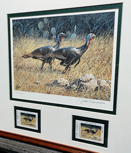 John Dearman 1991 Texas Turkey Stamp Print With Double Stamps - Brand New Super Custom Sporting Frame