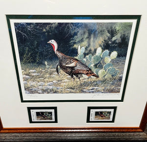 John Dearman 1997 Texas Wild Turkey Stamp Print With Double Stamps - Brand New Super Custom Sporting Frame