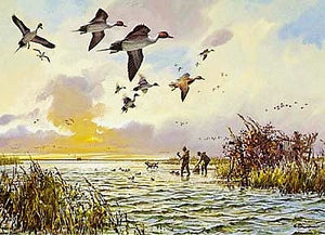 John P. Cowan 1988 Texas Waterfowl Stamp Print With Double Stamps - Brand New Custom Sporting Frame