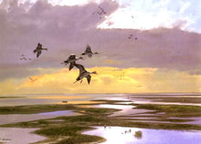 Load image into Gallery viewer, John P. Cowan - Wetlands Pintails - Lithograph AP 2001 - Brand New Custom Sporting Frame