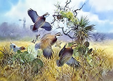 Load image into Gallery viewer, John P. Cowan 1991 Texas Quail Stamp Print With Stamp - Brand New Super Custom Sporting Frame