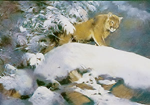 Ken Carlson - Evening Shadows - Lithograph - Brand New Custom Sporting Frame