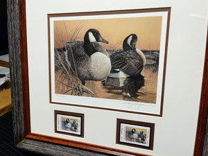 Larry Hayden - 1992 Texas Waterfowl Duck Stamp Print With Double Stamps - Brand New Custom Sporting Frame