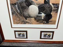 Load image into Gallery viewer, Larry Hayden - 1992 Texas Waterfowl Duck Stamp Print With Double Stamps - Brand New Custom Sporting Frame